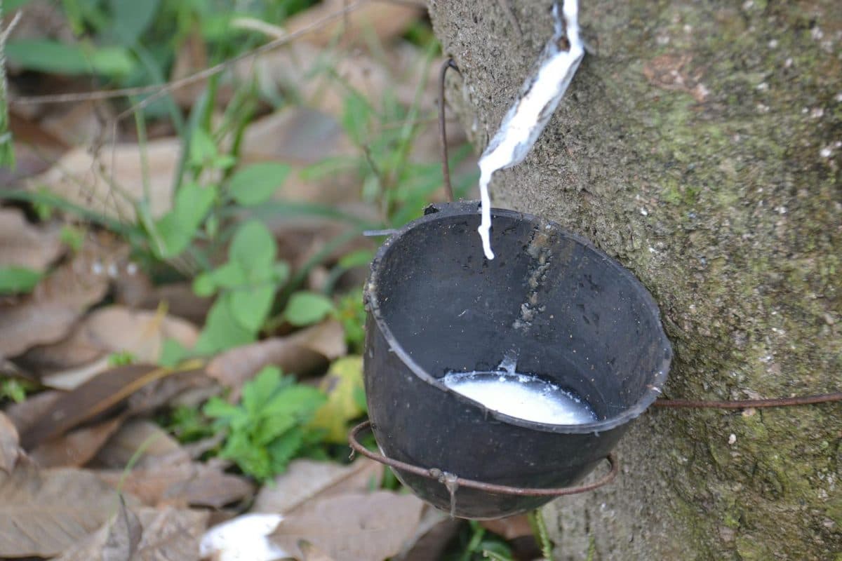Potes de marmita organizados com arroz, legumes e proteína prontos para a semana